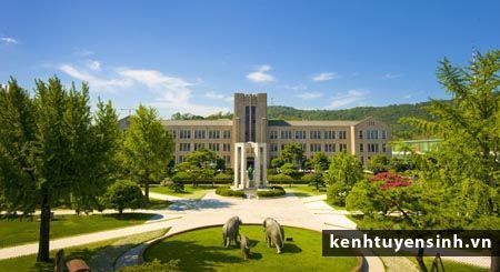 Đại học Dongguk - Phần 2